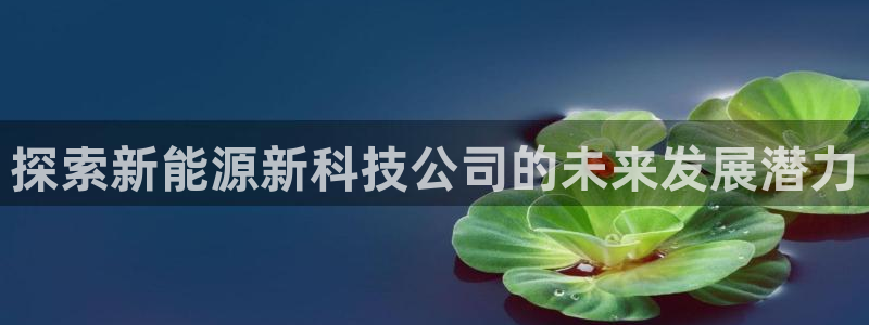 申博官网手机版下载app