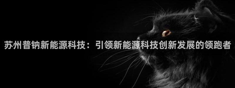 sunbet最新消息