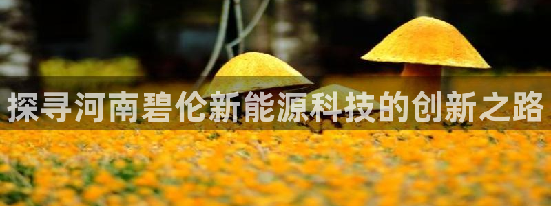 申博手机网址