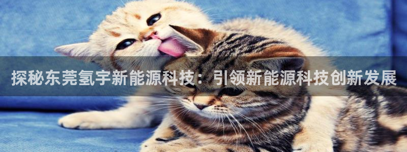sunbet手机版登录