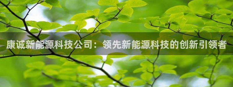 sunbet官网手机版