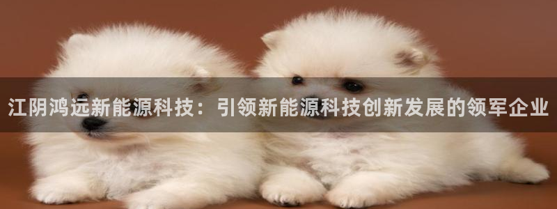 申博官网手机客户端