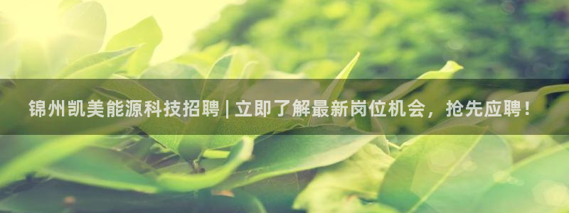 sunbething怎么读