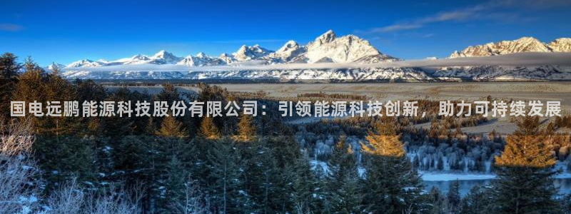 sunbet官网手机版