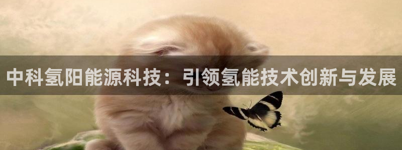 sunbet手机版登录