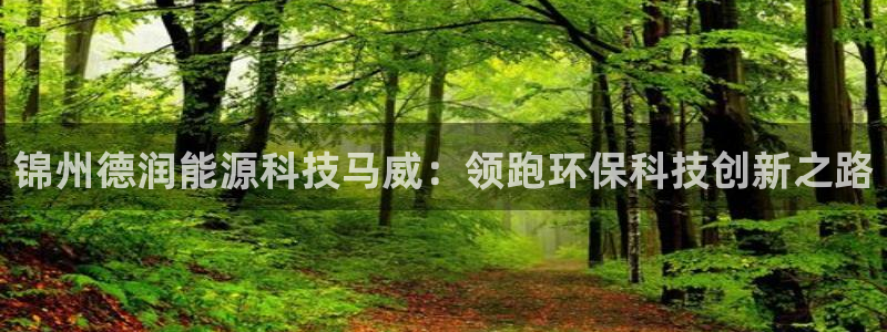 sunbet申搏平台