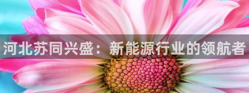 申博手机版app下载