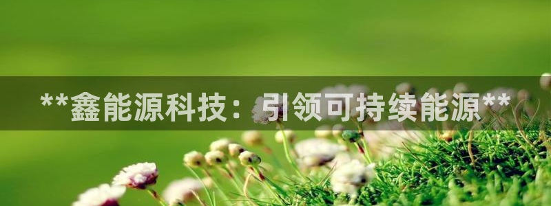 sunbet手机版官网下载