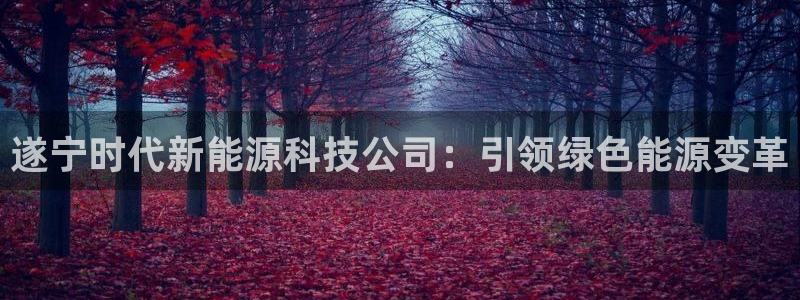 sunbet官网代理下载