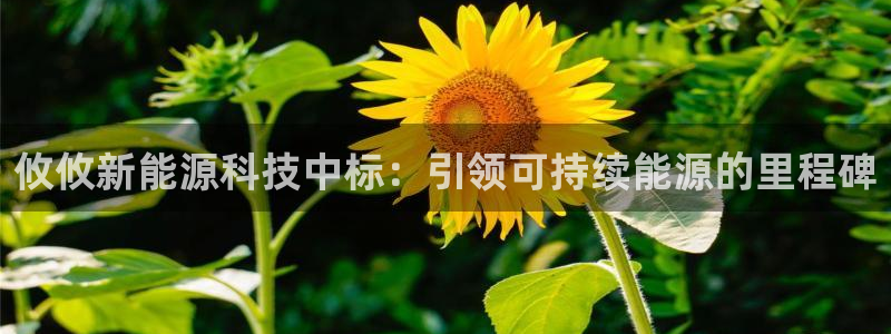 Sunbethe