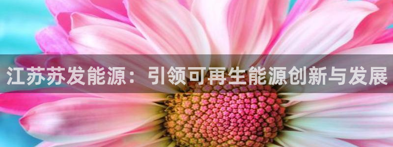 sunbet中国官网