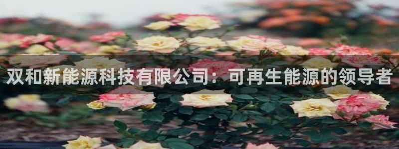 sunbet燃气灶