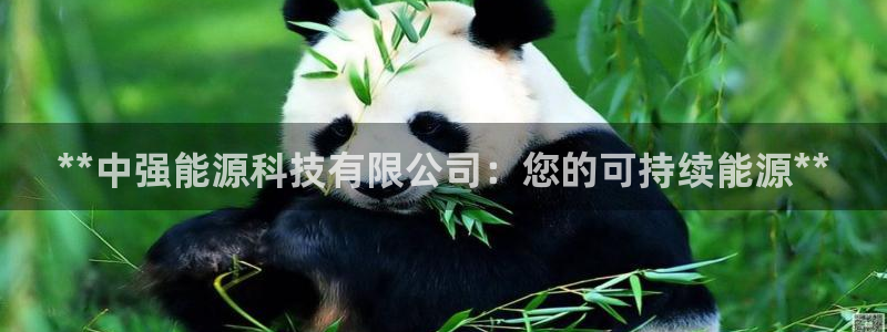 sunbet官网代理下载