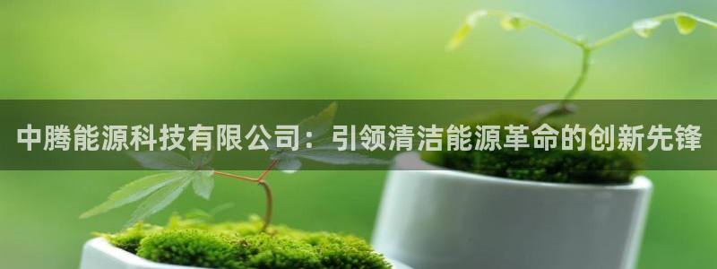 申博手机版官网