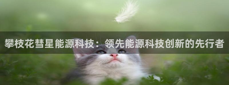 sunbet游戏网