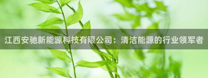 sunbet燃气灶