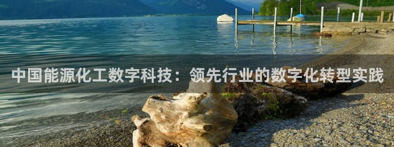 sunbet程序