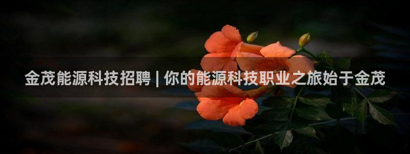 sunbet手机app版