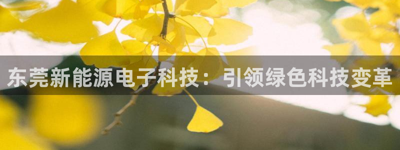 进入sunbet官网手机版登陆