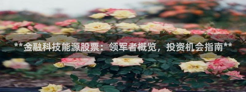 sunbet官网手机版登录