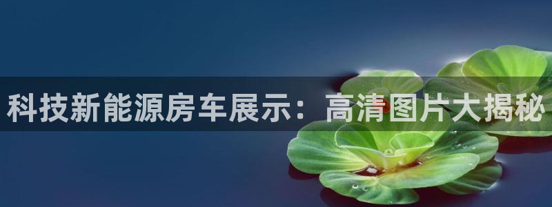 sunbet申搏app下载