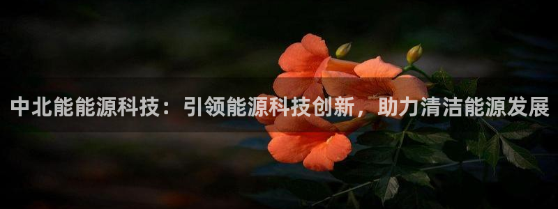 sunbet官网开户登录手机版