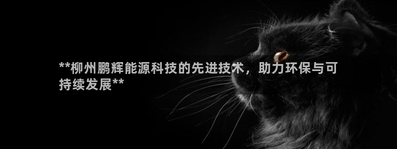 sunbet靠谱吗