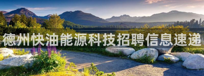 sunbet手机网页版本