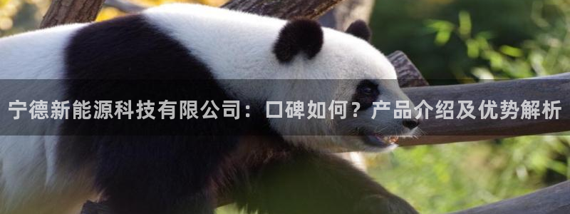 申慱sunbet网站