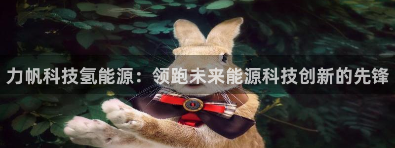 sunbet安卓下载