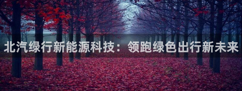 申博官方网站手机版下载
