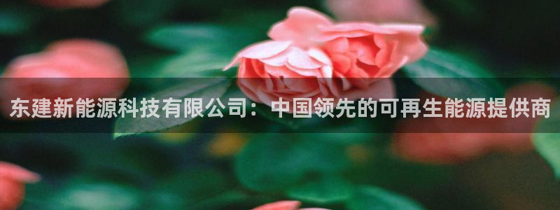 sunbet官网welcome