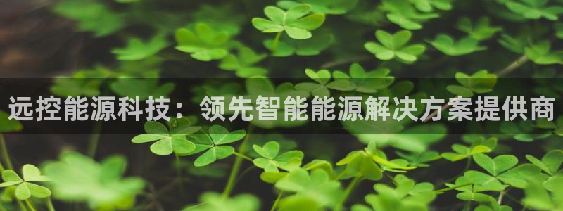 sunbet最新消息