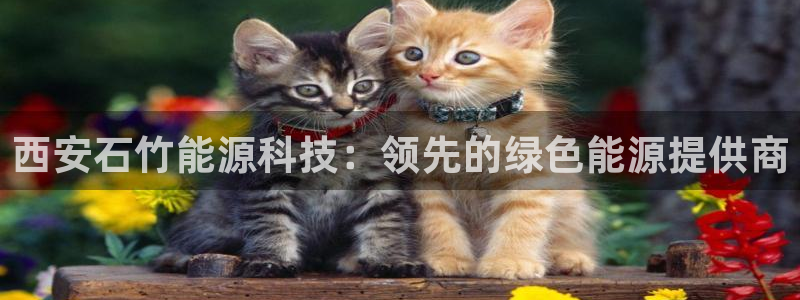 sunbet燃气灶