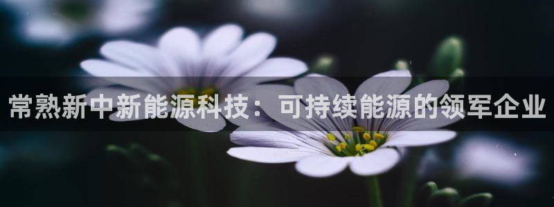 申博官网手机版下载app