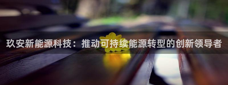 sunbet最新登陆